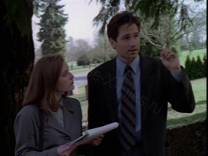 Скриншот 3 | Пилотная серия | Секретные Материалы (The X Files)