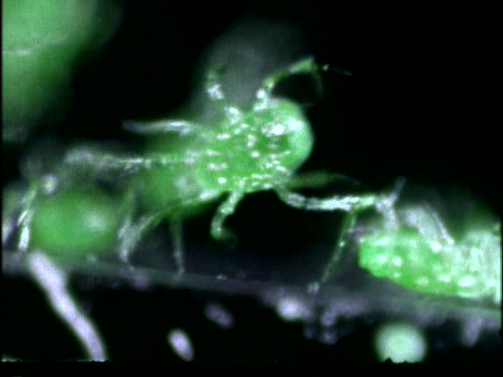 Скриншот 7 | И пала тьма