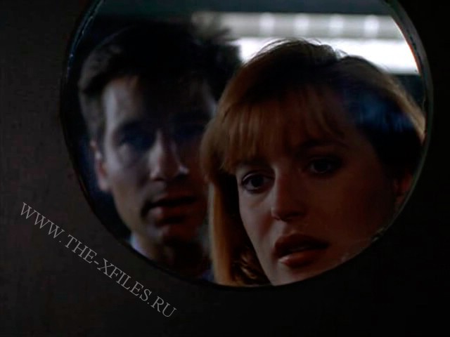 Скриншот 8 | Хозяин