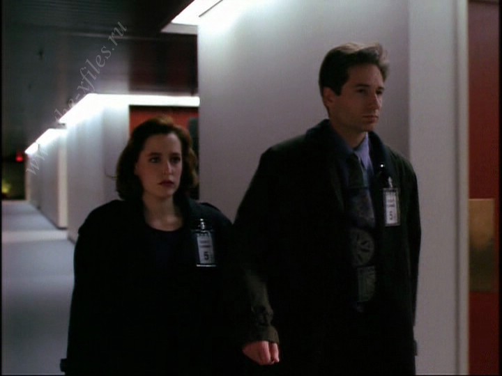 Скриншот 8 | В.Б.О.