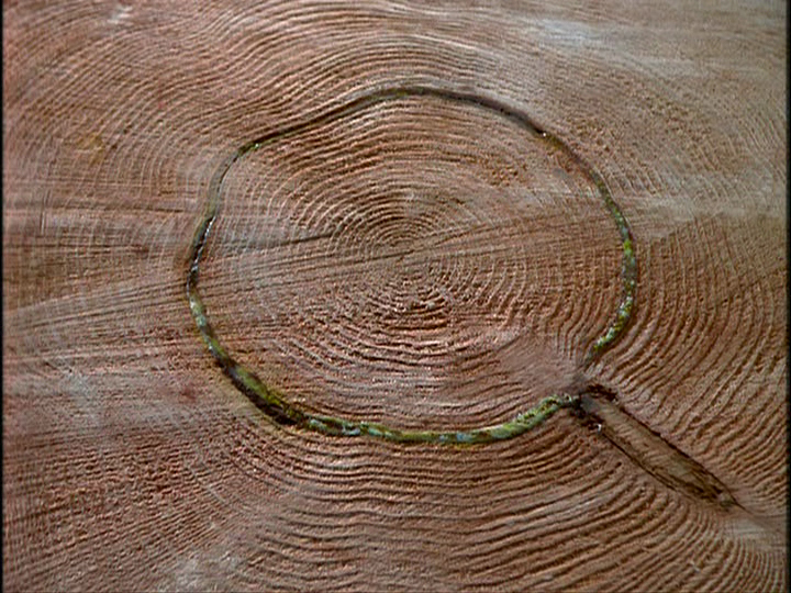 Скриншот 6 | И пала тьма