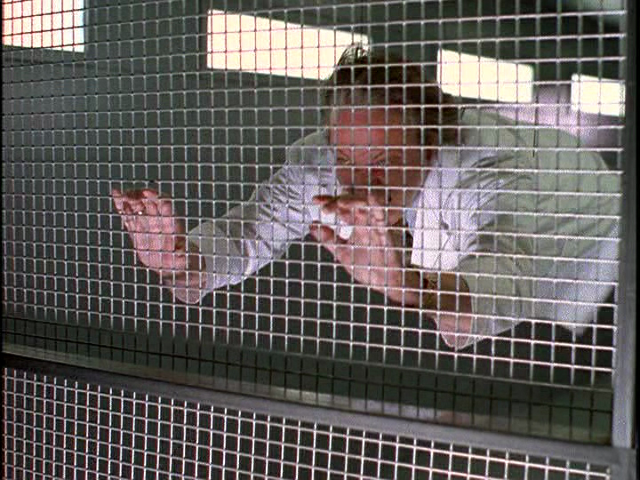 Скриншот 9 | Роланд