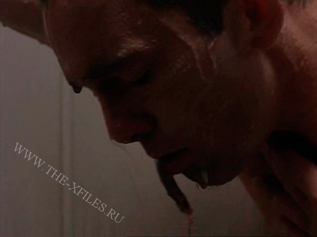 Скриншот 4 | Хозяин